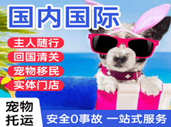 启阳机场空运国际宠物托运 【国